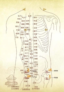 人体穴位图