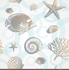 手绘素描海洋生物图片