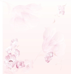 粉红花纹 移门图片