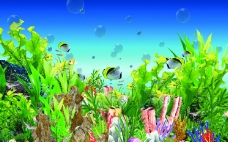 水族世界水族箱海底世界图片