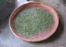 绿茶 竹筛图片