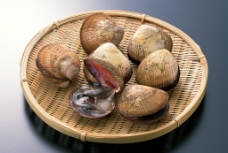 食材海鲜海鲜生蚝贝壳海鲜食材图片