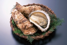 海鲜 生蚝 贝壳 海鲜食材图片