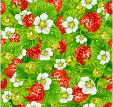 花草叶背景绿叶鲜花草莓水珠水滴背景图片