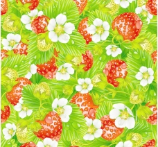 花草叶背景绿叶鲜花草莓水珠水滴背景图片