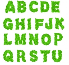树叶字母图片
