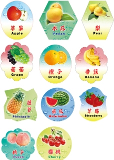 樱桃园水果双语图片