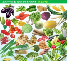 绿色蔬菜蔬菜合集天然绿色食品蔬菜图片