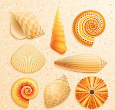 沙滩海洋生物矢量图片