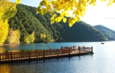 丽江 泸沽湖图片