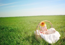 爱上草地上篮子里面的可爱宝宝图片