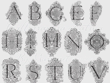 欧式华丽字母设计图片