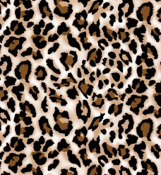 豹纹印花图片