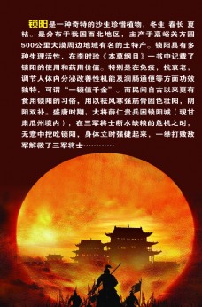 骑马将军图片免费下载,骑马将军设计素材大全,骑马将军模板下载,骑马