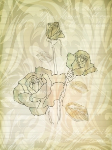 黄色背景玫瑰花花纹图片