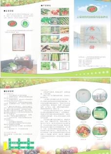 画册折页蔬菜合作社彩页图片