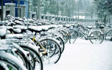 自行车雪景图片