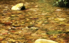 金鞭溪清水图片