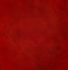 家居地板红丝绒图片