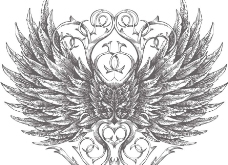 欧式边框手绘羽毛翅膀花纹图片