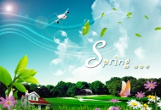 spring春天风景图片