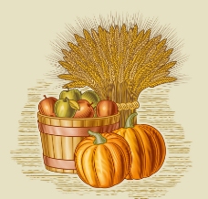 秋天背景秋天的果实麦穗南瓜背景图片