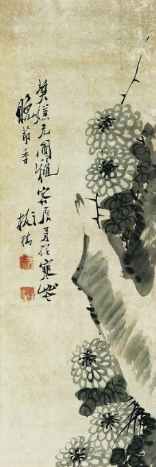 菊石图图片